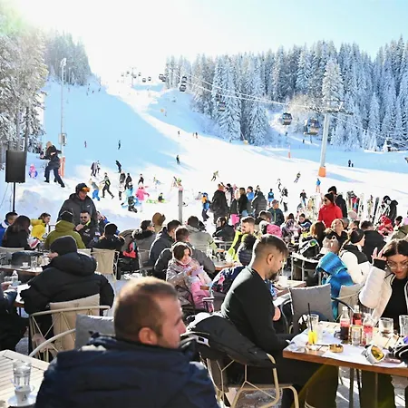 Galeria Luxury And Restaurant